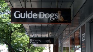 Gudie dog training cents in Adelaide